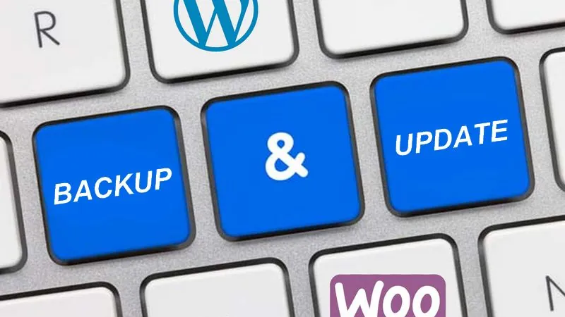 WordPress backups and updates: protecting your website every day