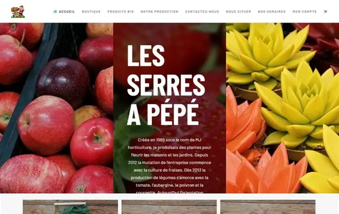 Site internet Les Serres à Pépé réalisé par GUIGOUT SAS